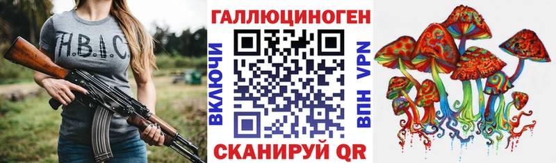 Купить  Находка  Псилоцибиновые грибы прущие грибы 